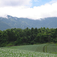 Tsumagoi Village