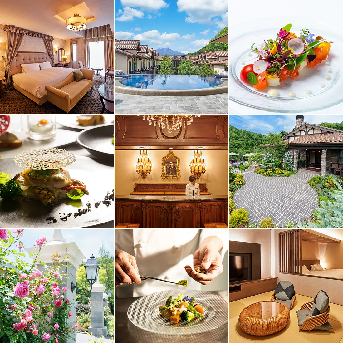 フォトギャラリー