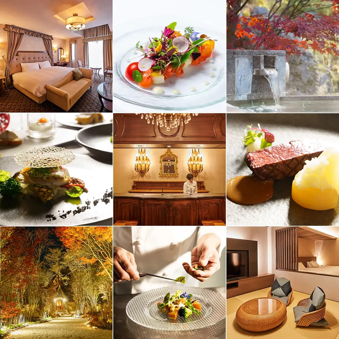 フォトギャラリー